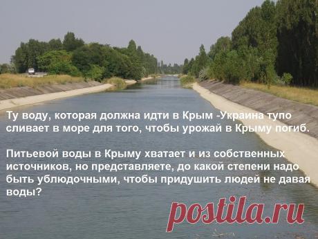 ВОТ ТАК И ЖИВЕМ...
