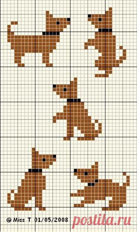 Animal de compagnie - &quot;Les petits bonheurs de Miss T&quot;