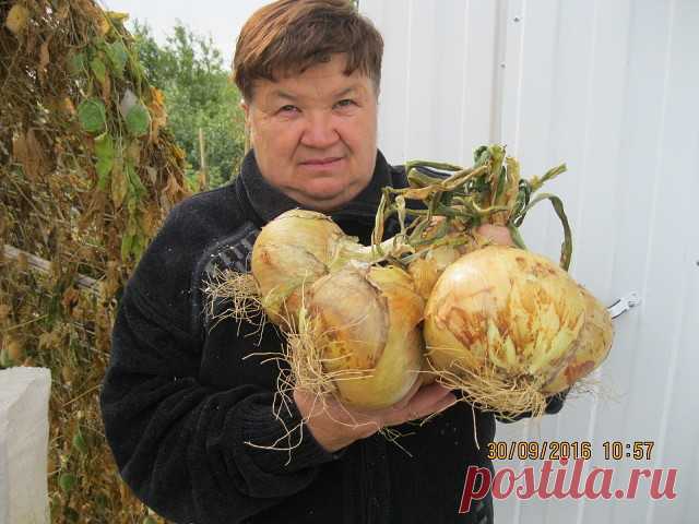 Одноклассники