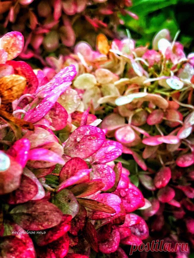 Освобождение от того, что изжило себя
В Мабон нужно входить налегке. Это время такое. Когда нужно трезво посмотреть на вещи и оставить то, что сломано (мешает, тянет вниз, тяготит, огорчает, закончилось, использовано, устарело и так далее) там, где мы находимся сейчас. Именно в этой точке. Попрощаться и идти дальше. Потому что если вы не сделаете выбор сами, его сделают за вас. […]
Читай пост далее на сайте. Жми ⏫ссылку выше