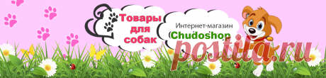 Продолжительность жизни кошек, сколько лет живут в домашних условиях