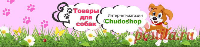 Продолжительность жизни кошек, сколько лет живут в домашних условиях