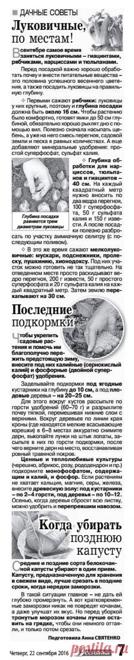 Дачные советы - сентябрь