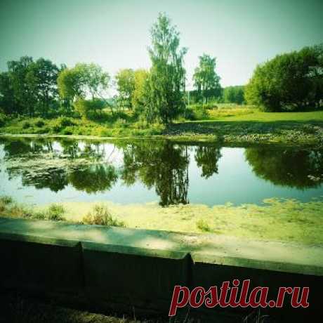 Нина Ворсо – Google+