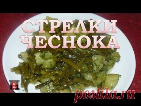 стрелки чеснока--как готовить - 865 роликов. Поиск Mail.Ru