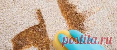 Как сделать так, чтобы ковер был чистый и красивый?