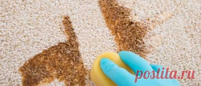 Как сделать так, чтобы ковер был чистый и красивый?