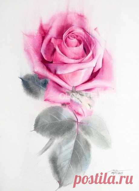 Art Olga Melikhova