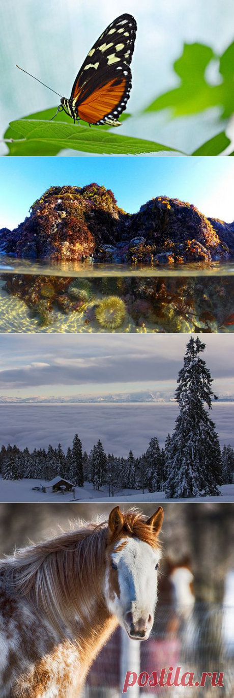 Знакомства