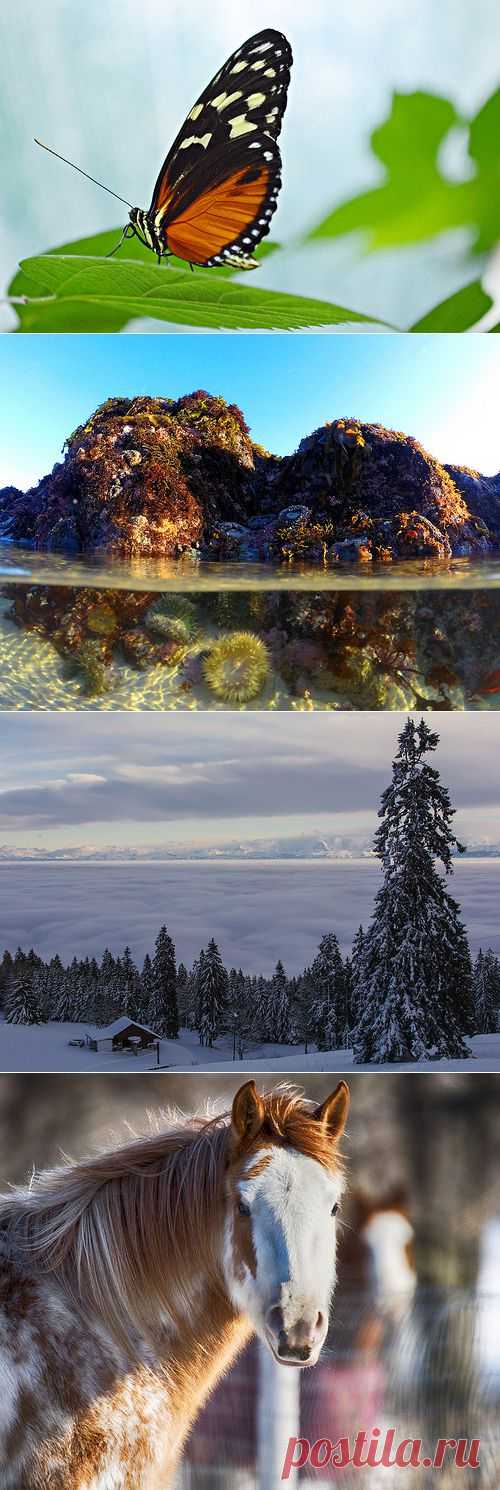 Знакомства