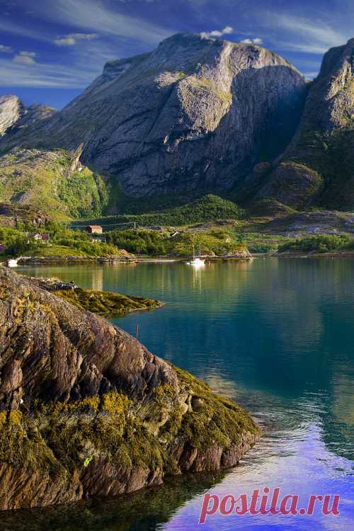 Random happiness ... - 4nimalparty: by KrWe