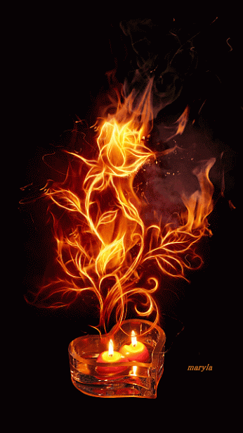 22 Free Amazing Blooming Roses Animated Gifs at Best Animations