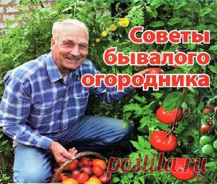 ПОЛЕЗНЫЕ СОВЕТЫ ОТ БЫВАЛОГО ОГОРОДНИКА! 
ДЕЙСТВУЕМ ПРАВИЛЬНО!