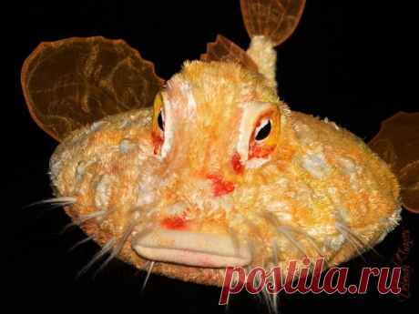 Морские нетопыри