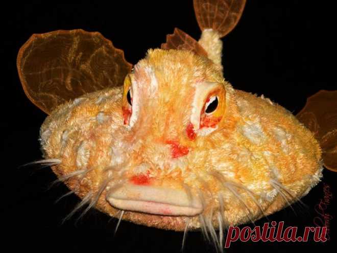 Морские нетопыри