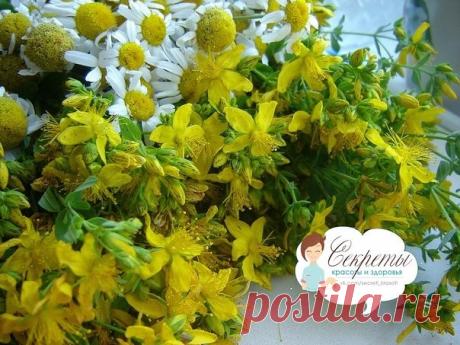 Чай для очищения легких от последствий курения

Этот напиток поможет бывшему или настоящему курильщику очистить легкие, а также придаст здоровый цвет лицу и поможет вывести из организма токсины. 

Если вы хотите бросить курить, заваривайте в равных пропорциях две травы:
багульник болотный и зверобой обыкновенный по 1 ст. ложке на 800 г воды.
Кипятить (водяная баня) 20 минут на слабом огне, настаивать 3 часа и пить как чай, наполовину разбавив кипятком. Этот чай к тому же у...