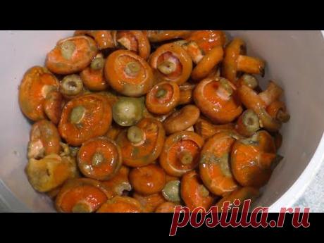 РЫЖИКИ В СОБСТВЕННОМ СОКУ! ПРОСТО И БОЖЕСТВЕННО ВКУСНО!