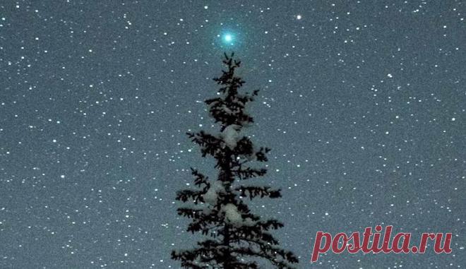 «Рождественская» комета загорелась на вершине елки К нашей планете на рекордно близкое расстояние приблизилась комета 46P/Виртанена, также называемая «рождественской» кометой. Из некоторых точек Земли ее видно без оптических приборов. Если вы посмотрите на небосвод и заметите в вышине яркий зеленоватый огонек, значит вам крупно повезло.