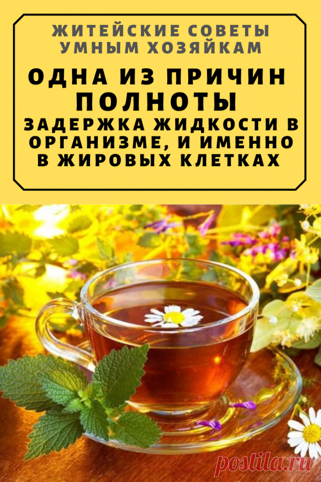 Одна из причин полноты — задержка жидкости в организме, и именно в жировых клетках | Житейские Советы