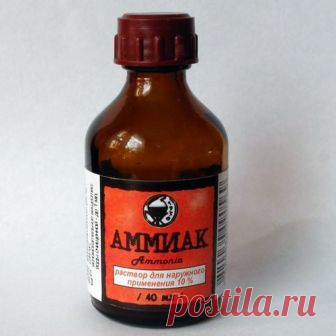 Ещё один мой помощник на даче - аммиак Хочу рассказать вам об моем очередном помощнике на даче - аммиак или нашатырный спирт.В маленьких количествах это средство борется с тлей и повышает урожай. Итак, в чём же помощь аммиака:
1. Универсальная подкормка. Для приготовления берём 4 л воды и вливаем 50 мл нашатыря. Этим составом подкармливаем растения под корень. Такое удобрение насытит растения азотом. Особенно такая подкормка будет поле