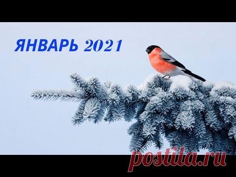 Экспресс Таро прогноз на Январь 2021  для всех знаков Зодиака (Астрологический Оракул Симболон)