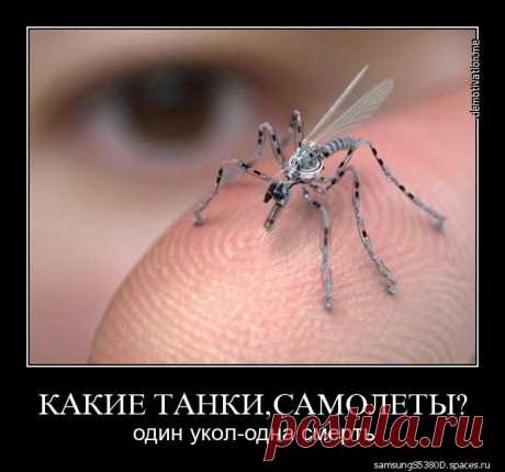 Демотиваторы/Картинки/Зона обмена