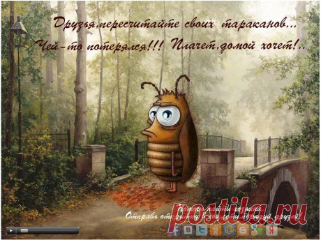 Лучше бумажной открытки, может быть только Музыкальная открытка.
Дарите друзьям Музыкальные открытки, они не рвутся и не теряются.
Хотите получать от меня Бесплатно Музыкальные открытки?
А может быть вы хотите сами создавать их?
Оставьте свой e-mail или напишите мне mariya88882@gmail.com 
Я с вами обязательно свяжусь