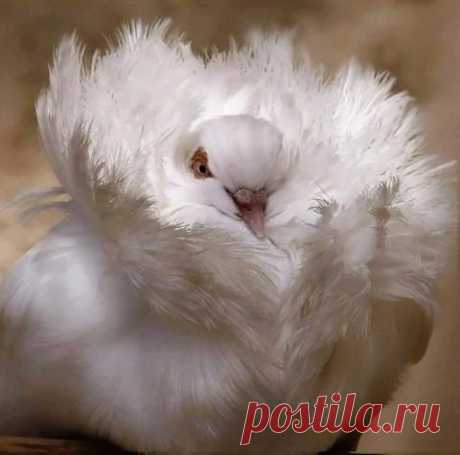 Интересные новости