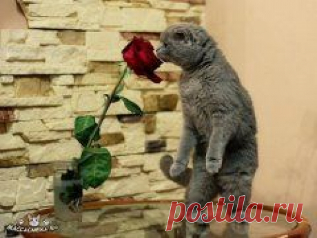 Одноклассники /Посмотри-станешь добрее..