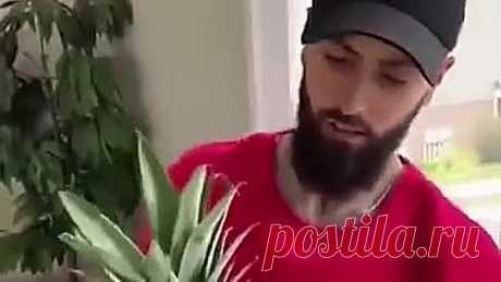 Век живи-век учись.ну кто знал 😀😁😁😂👍👍👍👍👍👍👍