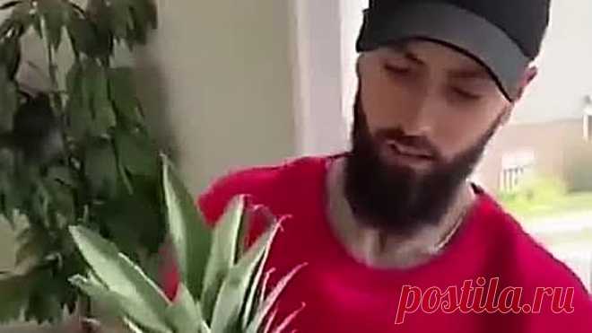 Век живи-век учись.ну кто знал 😀😁😁😂👍👍👍👍👍👍👍