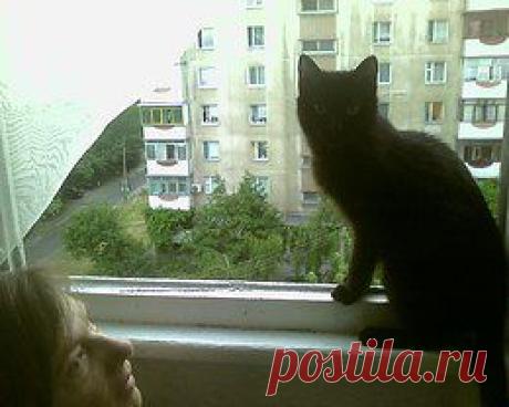 Умные мысли