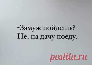 Выпуск №6491 - выпуск анекдотов сайта вокруг смеха