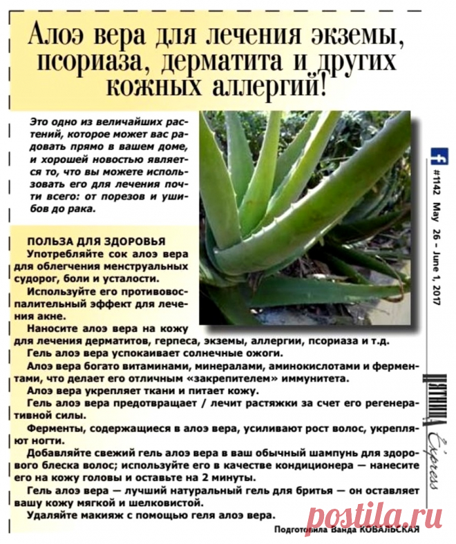 Алоэ вера польза