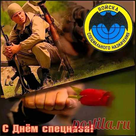 «Профессионалы высшей пробы» —
О Вас так в народе говорят.
СПЕЦНАЗу под силу любые задачи,
Вы лучшая защита для нас.