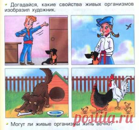 Дебилизация школы России | Сегодня.ру