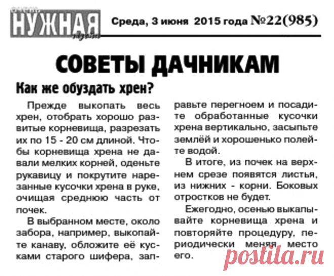 Как обуздать хрен