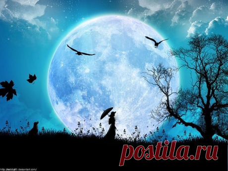 Description From Full Moon Wallpaper -