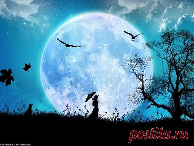Description From Full Moon Wallpaper -