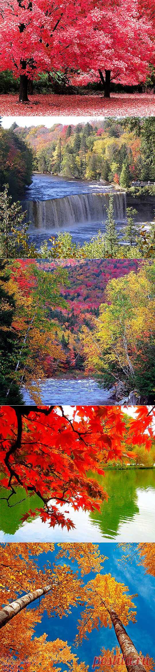 Осенняя природа картинки (47 фото) видео