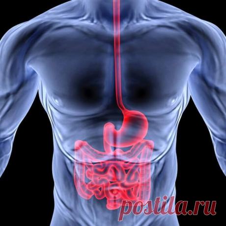 Часто болит горло? Проверь кишечник! — Всегда в форме!