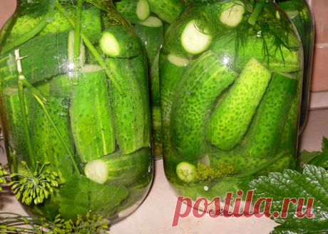 Хрустящие соленые огурцы на зиму в банках: 5 способов правильно и вкусно закатать огурцы. | Красивый Дом и Сад