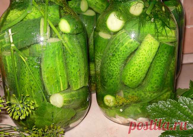 Хрустящие соленые огурцы на зиму в банках: 5 способов правильно и вкусно закатать огурцы. | Красивый Дом и Сад