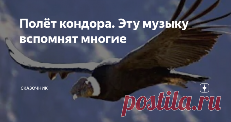Полёт кондора. Эту музыку вспомнят многие Прошлый век подарил человечеству немало  истинно классических музыкальных произведений. Некоторые из них, уверен,  с удовольствием будут слушать и будущие поколения, наши потомки.
Среди них и эта музыка, которую, однажды услышав, уже невозможно забыть.
Наверное, самая известная на планете перуанская мелодия.
Если верить википедии, в мире было выпущено более четырёх тысяч версий этой мелодии. Ну