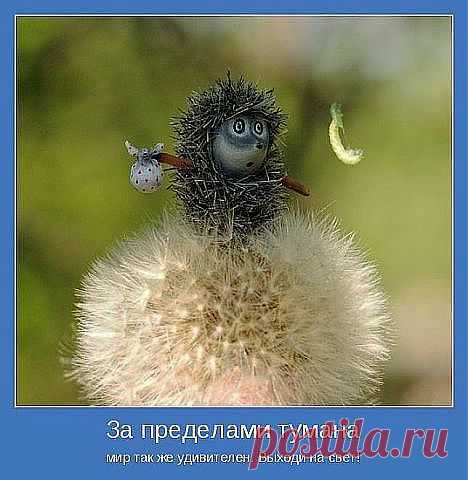 (34) Одноклассники