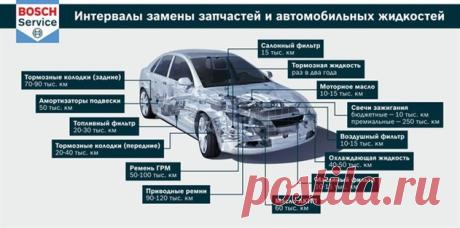 Как часто следует менять автомобильные запчасти? Советы на словах и в картинках | Telegraf.by