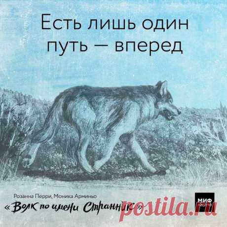 «Меня зовут Шустрый, потому что я первым встал на лапы и пошел. Куда бы ни отнесли меня ноги, я всегда возвращаюсь к уютной ямке посередине логова. Здесь пахнет домом, и я все никак не могу надышаться. А когда наконец приходит Она, меня обдает самым лучшим запахом на свете — запахом нашей матери», — из книги «Волк по имени Странник». Выбрали из нее еще несколько цитат и иллюстраций и превратили их в открытки. Рекомендуем книгу детям от 8 лет и всем влюбленным в мир дикой природы →…