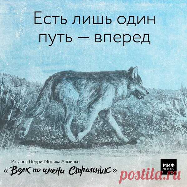 «Меня зовут Шустрый, потому что я первым встал на лапы и пошел. Куда бы ни отнесли меня ноги, я всегда возвращаюсь к уютной ямке посередине логова. Здесь пахнет домом, и я все никак не могу надышаться. А когда наконец приходит Она, меня обдает самым лучшим запахом на свете — запахом нашей матери», — из книги «Волк по имени Странник». Выбрали из нее еще несколько цитат и иллюстраций и превратили их в открытки. Рекомендуем книгу детям от 8 лет и всем влюбленным в мир дикой природы →…