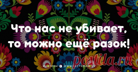 Смешные современные поговорки, которых вы ещё не слышали