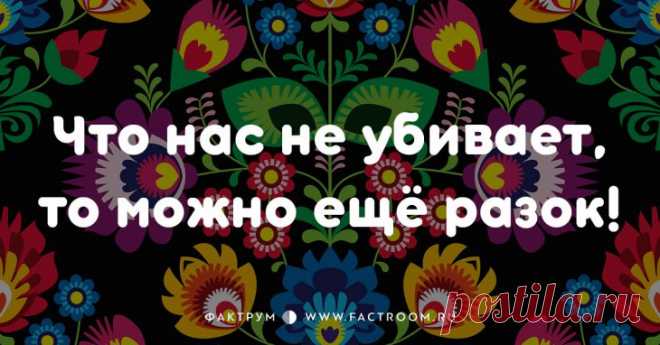 Смешные современные поговорки, которых вы ещё не слышали